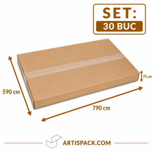 Cutie de transport 590x790x75 ArtisPack din carton set 30 bucati