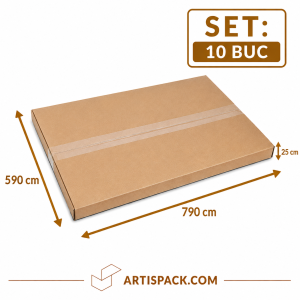 Cutie de transport 590x790x25 ArtisPack din carton set 10 bucati